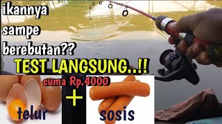 LANGSUNG TEST MANCING LELE KOLAM HARIAN PAKAI UMPAN MURAH DAPAT BANYAK [upl. by Suzie380]