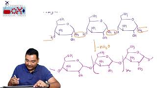 Lecture15 Structure of starch  Structure of amylose amp amylopectin [upl. by Ahsenaj]