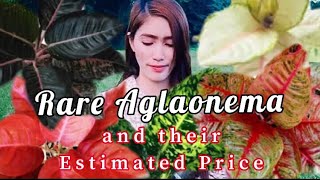 60 RARE AGLAONEMA VARIETIES AND THEIR ESTIMATED PRICES [upl. by Eibur]