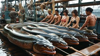 Unbelievable Fishermen Harvest Hundreds of Tons of Cod in a Single Voyage  Trawl Net Fishing [upl. by Yhtomiht]