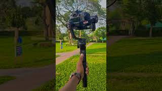 canon 80d weebill s gimbal [upl. by Halilak]