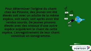 Le chant des Pinsons des arbres et la diversification des vivants [upl. by Gomer]