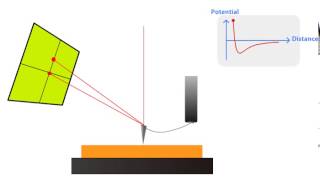 AFM Principle  How AFM Works [upl. by Adnwahsor]