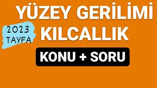 YÜZEY GERİLİMİ VE KILCALLIK  TYT FİZİK KONU ANLATIMI VE SORU ÇÖZÜMÜ [upl. by Maclaine]