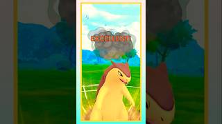 Typhlosion Save The Battle 🤩 in Great League 💥 shorts pvp pvppokemon [upl. by Ytram41]