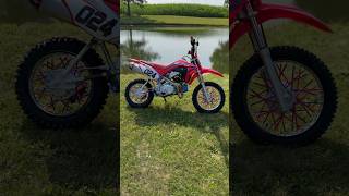 2024 Honda CRF110F Pit Bike Build [upl. by Millford497]