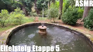 Eifelsteig Etappe 5  Natur pur  Fernwanderweg in der Eifel  longdistance hiking trail  ASMR [upl. by Introc]