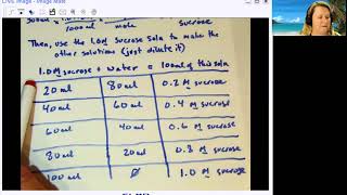 Sucrose solution preparation [upl. by Salomie370]