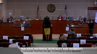 State of Texas Protecting Texas mothers and an unbelievable voting record [upl. by Ariik]