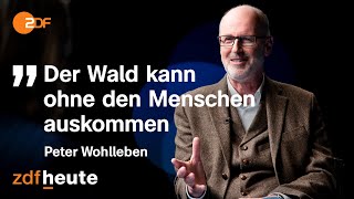 Sind unsere Wälder noch zu retten  Precht im Gespräch mit Förster Wohlleben [upl. by Libyc]