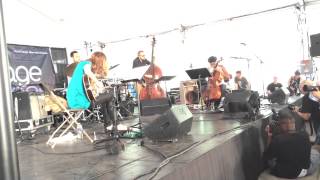 Tomeka Reid Quartet at Chicago Jazz Festival August 31 2014  Wabash Blues 13 [upl. by Acinaj997]