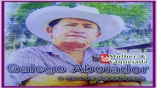 GALEGO ABOIADOR  O MELHOR DA VAQUEJADA [upl. by Aroon447]