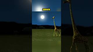 Esta jirafa destruyó accidentalmente la luna 🌑🦒 [upl. by Lail965]