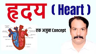 हृदय कैसे काम करता है  हृदय के वाल्व व कार्य  How does the heart work Heart valves and functions [upl. by Senecal]