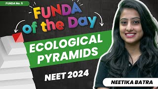 Ecological Pyramids  FUNDA of the Day  Funda No 5  NEET 2024 [upl. by Inamik]