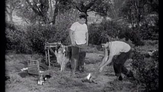 Lassie  Episode 91  quotSurvivalquot Season 3 26 03031957 [upl. by Renato]