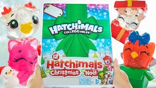 Hatchimals Colleggtibles 12 Hatchimals of Christmas Advent Calendar [upl. by Ahtnahc]