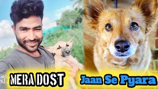 Mera Dost dog Jaan Se Pyara🐕 Assam tv2 vlog My first new video dogs [upl. by Lleumas]