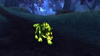 Warlords of Draenor  ¿Como domar a un lobo vil  Parche 62 [upl. by Iaw]