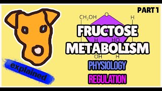 FRUCTOSE Metabolism Pathway for Step 1 Biochemistry [upl. by Sana]