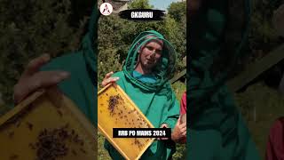 World Honey Bee Day gkguru bankingawareness wordguru [upl. by Akilak]