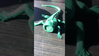 My lizard is broken 😂😂😂 [upl. by Leibrag608]