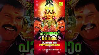 പുണ്യമാം ദർശനം  Vadanam Thozhunnen kalabhavanmaniayyappadevotionalsongs maniayyappahitsmalayalam [upl. by Aihsekram]