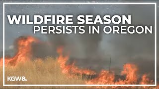 How the state is tackling over 20 active wildfires burning across Oregon [upl. by Arikat]