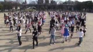 Cirnos Perfect Math Class by 300 jpn personz [upl. by Latreshia]