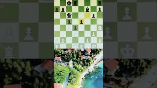 2 c4  Réti Opening chess chesspuzzlesmatein2 chessgrandmaster [upl. by Llebanna]