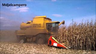 Threshing corn  New Holland TF76 amp TX63 14 rows Massey Ferguson 7495 amp 7480 [upl. by Yeltihw]