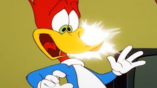 Woody Woodpecker Show  Downsized Woody  Full Episode  Cartoons For Children [upl. by Esteban]