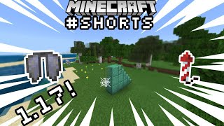 How to Make an Elytra Launcher in Minecraft 117 shorts [upl. by Seel641]