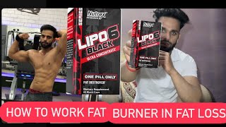 Lipo 6 black fat burner  Lipo 6 काम केसे करता है और कैसे कैसे लिया जाता है ये  lipo6 fatburner [upl. by Akierdna]