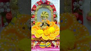 श्याम मेरे दौड़े आते हैं shyam kanha radheshyam shorts 🙏🙏🌺🌸🌹❤️✨ [upl. by Eiluj]