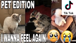 I WANNA FEEL AGAIN TIKTOK COMPILATION  PET EDITION  TRY NOT TO CRY 😭😭😭 [upl. by Fortuna]