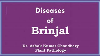 Diseases of Brinjal [upl. by Hessney9]