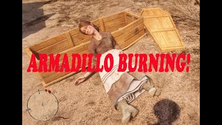 Red Dead Redemption 2 ARMADILLO BURNING [upl. by Doig254]