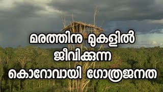 മരമുകളിൽ വസിക്കുന്ന കൊറോവായി ഗോത്രജനതtribal mission pathanamthittaadivasis [upl. by Hunt]