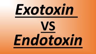 Microbiology for USMLE students  Exotoxin vs Endotoxin [upl. by Lozar]