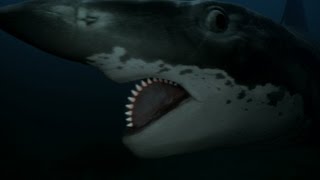 Hunting Down an Ancient Buzzsaw Killer The Helicoprion [upl. by Alehtse]