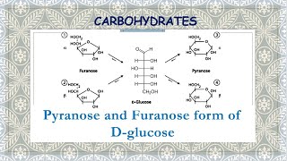 Pyranose and Furanose form of Dglucose  Orientation and formation of cyclic structures [upl. by Euqinehs]