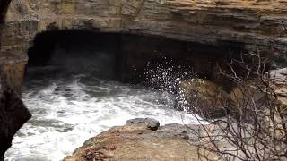 Blowhole 3 Eaglehawk Neck  Tasmania Australia [upl. by Lekcar]