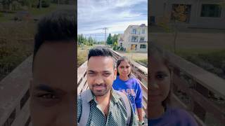 Fish Migration Thornbury Canada shorts youtubeshorts fish nature telugu trending [upl. by Yssenhguahs350]