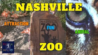 Nashville Zoo  Top Attractions Animal Encounters amp Family Fun [upl. by Michaud]