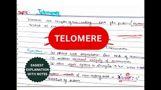 What are telomeres  Telomerase Replication  Telomeres and Telomerases  urduhindi [upl. by Pegeen]