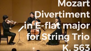 Mozart  Divertimento in Es für Violine Viola und Violoncello K563 [upl. by Wivinia]