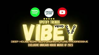 Vibey Deep House Mix Spotify x Vevo [upl. by Ynnod305]