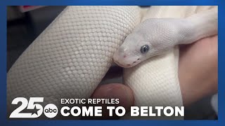 Herbs Exotic Reptile and Pet Show Comes to Belton HandsOn Fun for All [upl. by Oinotnas]