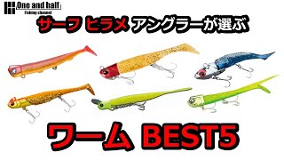 サーフ ヒラメアングラーが選ぶ 実績ワーム BEST5 [upl. by Bronwyn]